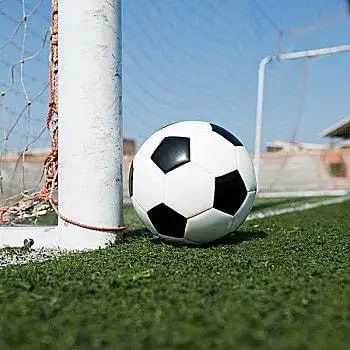 数据分析师使用天天盈球进行专业研究